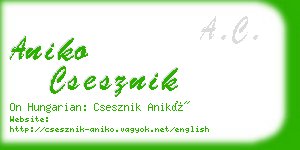 aniko csesznik business card